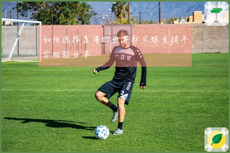 如何选择靠谱的世界杯买球竞猜平台经验分享