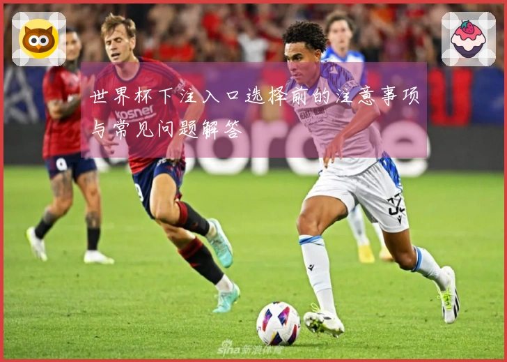 世界杯下注入口选择前的注意事项与常见问题解答