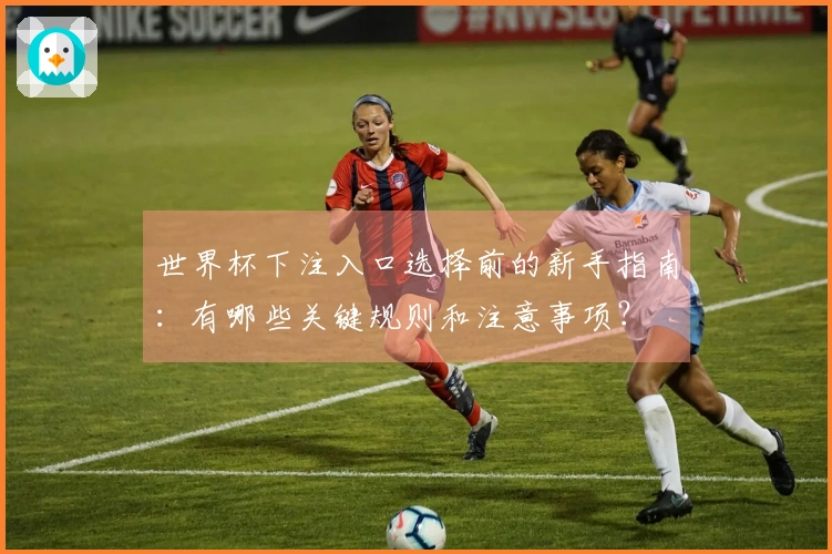 世界杯下注入口选择前的新手指南：有哪些关键规则和注意事项？