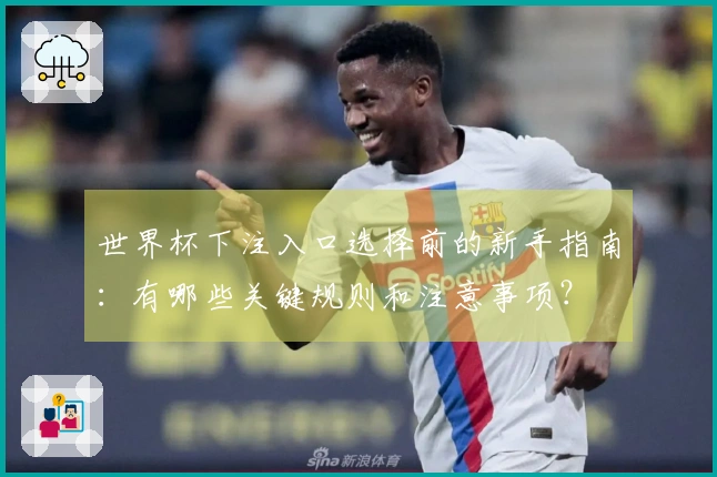 世界杯下注入口选择前的新手指南：有哪些关键规则和注意事项？