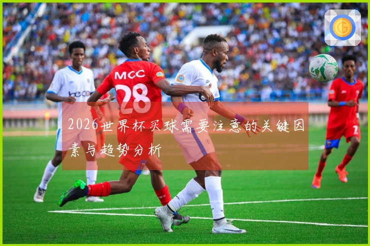 2026世界杯买球需要注意的关键因素与趋势分析