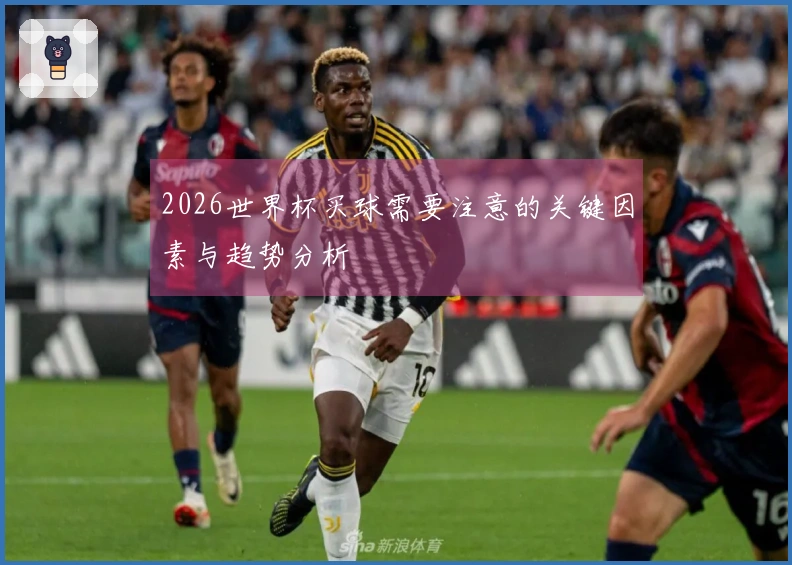 2026世界杯买球需要注意的关键因素与趋势分析